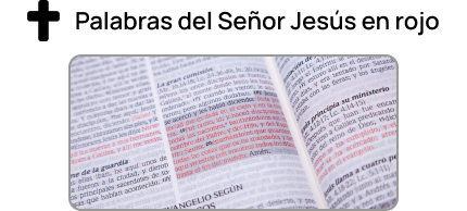 Palabras del Señor Jesús en rojo